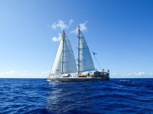 Sailing _ Credit Maéva Bardy - Tara Expeditions Foundation